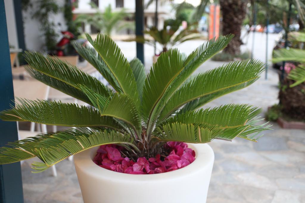 Hotel Alexandros Néoi Póroi Luaran gambar
