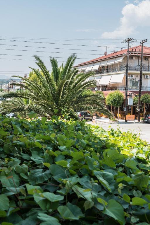 Hotel Alexandros Néoi Póroi Bilik gambar